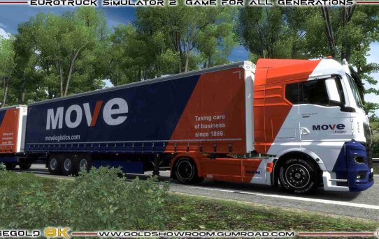 Combo Man 2020 SCS Move Logistics